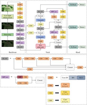 DCP-YOLOv7x: improved pest detection method for low-quality cotton image